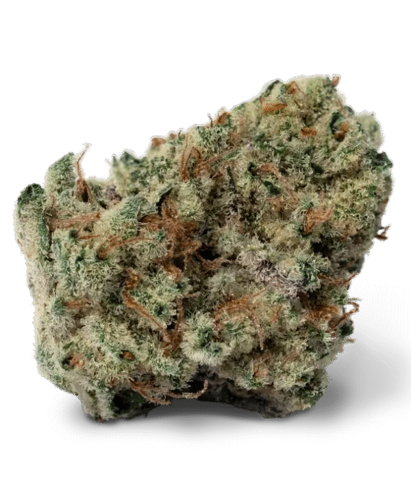 Black Ice