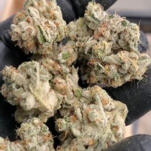 Lemon Melons