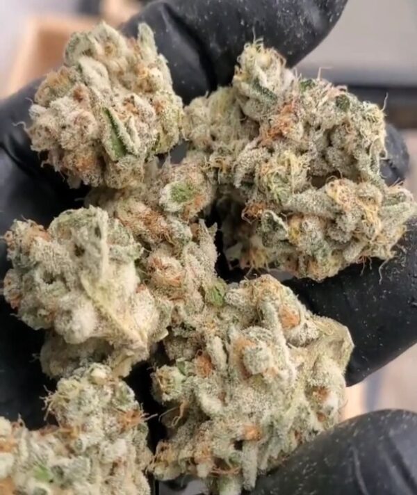 Lemon Melons