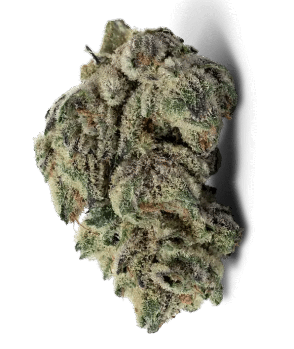 Oreoz