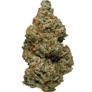Sage