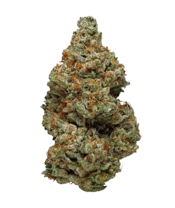 Sage