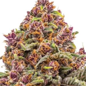 Sour diesel