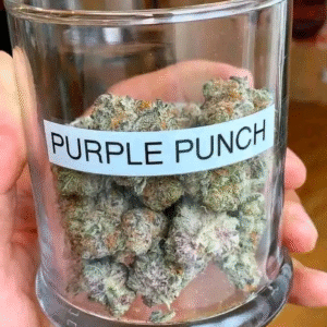 Purple punch