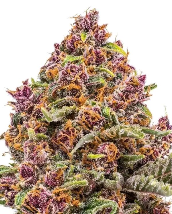Sour diesel