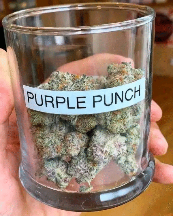 Purple punch