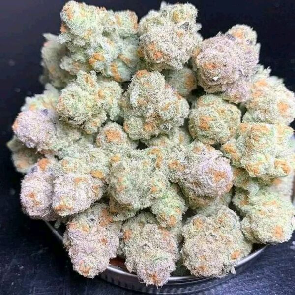 Orel Kush