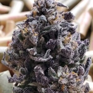 Blue Berry