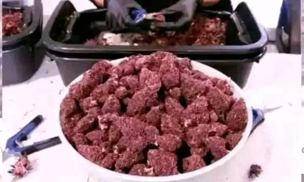 Alaska thunder fuck