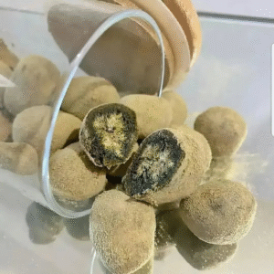Moon Rocks