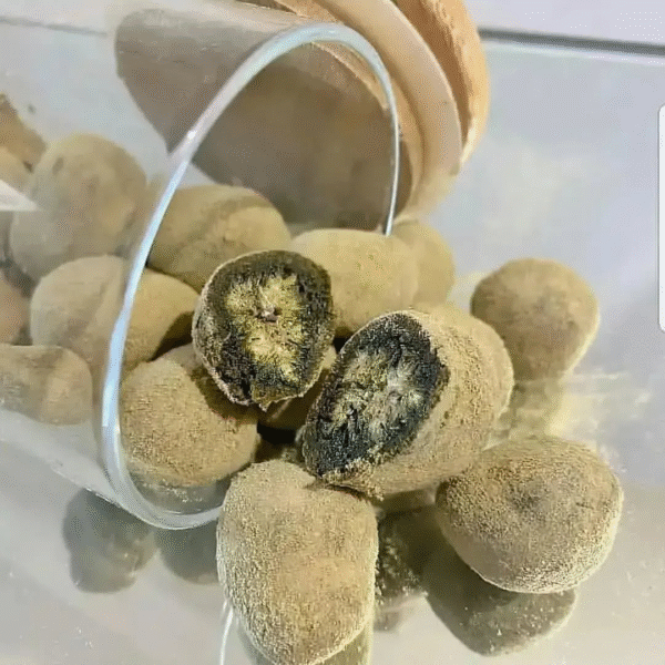 Moon Rocks