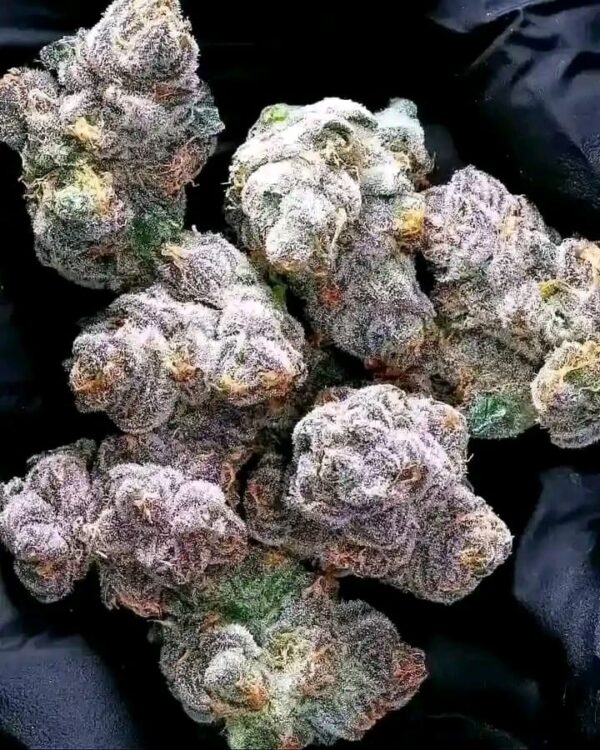 Durban poison
