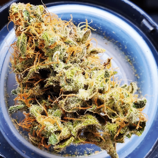 Maui wowie